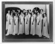 Photograph: [Fourteen Club Terpsicore members in long dresses]
