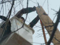Photograph: [Altec employee working on utility line]