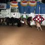 Photograph: Cutting Horse Competition: Image 1991_D-239_12