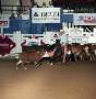 Photograph: Cutting Horse Competition: Image 1991_D-240_05