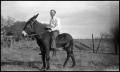Photograph: [Photograph of a Man on a Mule]