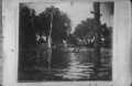 Photograph: [Photograph of Morton Cemetery During 1899 Flood]