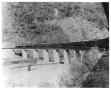 Photograph: [Chihuahua - Pacific Railway train on Santa Barbara Bridge]