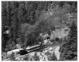 Photograph: [Manitou and Pike's Peak Railway]