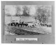 Photograph: [Anderson County Farmers]