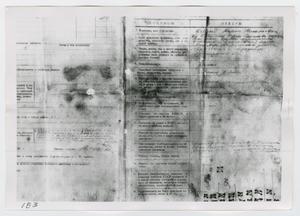 Primary view of object titled '[Forms in Russian, Photograph #1]'.