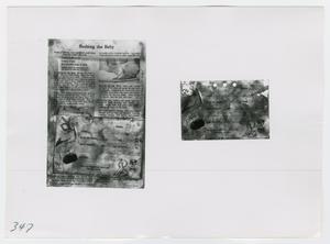 Primary view of object titled '[Clippings, Photograph #2]'.
