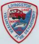 Physical Object: [Livingston, Texas Volunteer Fire Department Patch]