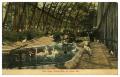 Postcard: Bird Cage, Forest Park, St. Louis, Mo.