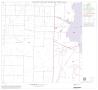 Map: 1990 Census County Block Map (Recreated): Scurry County, Block 10