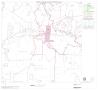 Map: 2000 Census County Block Map: Menard County, Block 5