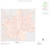 Map: 2000 Census County Block Map: Atascosa County, Inset D01