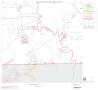 Map: 2000 Census County Block Map: Liberty County, Block 19