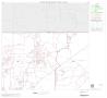 Map: 2000 Census County Block Map: Duval County, Block 2