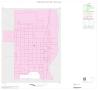 Map: 2000 Census County Block Map: Irion County, Inset A01