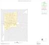 Map: 2000 Census County Block Map: Reagan County, Inset A01