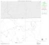Map: 2000 Census County Block Map: McMullen County, Block 2