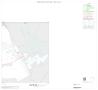 Map: 2000 Census County Block Map: Coke County, Inset A02