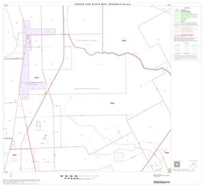Primary view of 2000 Census County Block Map: Brazoria County, Block 17
