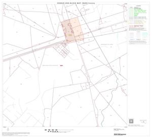 Primary view of 2000 Census County Block Map: Ward County, Block 12