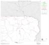 Map: 2000 Census County Block Map: Terrell County, Block 3