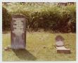 Photograph: [Grave Markers of Elizabeth Middlebrook and William W. Willis]