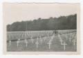 Photograph: [Military Cemetery]