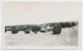 Photograph: [Armored Artillery at Camp Barkeley]