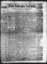 Newspaper: San Antonio-Zeitung. (San Antonio, Tex.), Vol. 1, No. 51, Ed. 1 Satur…