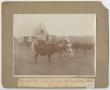 Photograph: [The Bowen Family Riding Among Cattle]