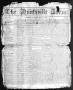 Newspaper: The Huntsville Item. (Huntsville, Tex.), Vol. 8, No. 45, Ed. 1 Saturd…