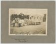 Photograph: [Photograph of Ladies of the Maccabees' Float]