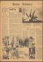 Newspaper: Brazos Tributary (Palo Pinto, Tex.), Vol. 1, No. 16, Ed. 1 Thursday, …