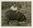 Photograph: [Boy with a Show Pig]