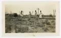Photograph: [Women in a Field of Crops]