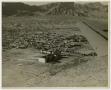 Photograph: [Aerial View of El Paso]