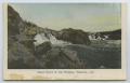 Postcard: [Postcard of Great Falls of the Potomac from the River's Edge]