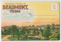 Postcard: [Fold Out Postcard of Beaumont]