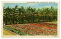 Postcard: [Postcard of Flower Gardens in Wooster, Ohio]