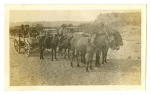 [Photograph of Men Traveling in a Wagon to the Mountains]
