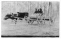 Postcard: [Postcard of Young Boys in Cattle-Pulled Wagon]