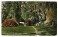 Postcard: [Postcard of Magnolia Gardens in Charleston, South Carolina]