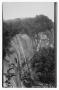 Postcard: [Postcard of The Falls at Chimney Rock]