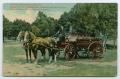 Postcard: [Postcard of a Horse-Drawn Chemical and Hose Wagon]