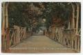 Postcard: [Postcard of Cotton Palace Park Bridge]