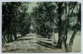 Postcard: [Postcard with a View Looking Down a Road Between Trees]