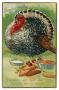 Postcard: [Thanksgiving Postcard to Mamie Collins from Katharine E. Wheatly, No…