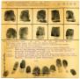 Legal Document: Albert Lawrence Bates Fingerprint Card, 1933 (Oklahoma City Police De…