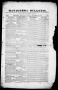 Newspaper: Matagorda Bulletin. (Matagorda, Tex.), Vol. 1, No. 7, Ed. 1, Wednesda…