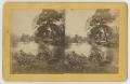 Photograph: [A View of the Comal River]